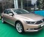 Volkswagen Passat 2016 - Volkswagen Passat, nhập khẩu nguyên chiếc giá cạnh tranh