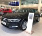 Volkswagen Passat Bluemotion 2019 - Bán xe Volkswagen Passat Comfort đời 2019, màu đen, xe nhập