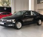 Volkswagen Passat Bluemotion 2019 - Bán xe Volkswagen Passat Comfort đời 2019, màu đen, xe nhập