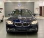 BMW 5 Series   2015 - Bán xe BMW 520i đời 2015, màu xanh lam, xe nhập