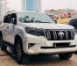 Toyota Prado 2010 - Bán Toyota Prado năm sản xuất 2010, màu trắng, nhập khẩu