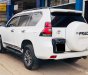 Toyota Prado 2010 - Bán Toyota Prado năm sản xuất 2010, màu trắng, nhập khẩu