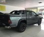 Isuzu Dmax   2010 - Bán Isuzu Dmax LS 3.0 4x2 AT 2010, màu xám, xde nhập  