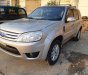 Ford Escape 2009 - Bán Ford Escape AT năm sản xuất 2009, màu hồng