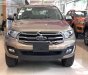 Ford Everest 2020 - Bán xe Ford Everest năm 2020, nhập khẩu giá cạnh tranh