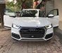 Audi Q5 2.0 AT 2018 - Cần bán lại xe Audi Q5 2.0 AT 2018, màu trắng, nhập khẩu nguyên chiếc