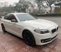 BMW 5 Series 2016 - Cần bán lại xe BMW 5 Series 520i sản xuất 2016, màu trắng, nhập khẩu nguyên chiếc