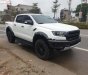 Ford Ranger   2019 - Bán Ford Ranger sản xuất 2019, màu trắng, nhập khẩu