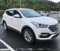 Hyundai Santa Fe   2018 - Bán Hyundai Santa Fe đời 2018, màu trắng, chính chủ