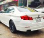 BMW 5 Series 2011 - Xe BMW 5 Series 523i sản xuất 2011, nhập khẩu nguyên chiếc