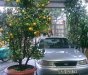 Daewoo Cielo 1996 - Cần bán xe Daewoo Cielo sản xuất năm 1996, nhập khẩu