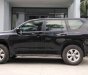 Toyota Prado  TXL  2009 - Bán Toyota Prado TXL đời 2009, màu đen