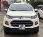 Ford EcoSport  titanium 2014 - Bán Ford EcoSport titanium năm sản xuất 2014