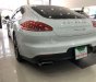 Porsche Panamera     2015 - Bán xe Porsche Panamera sản xuất 2015, nhập khẩu nguyên chiếc như mới