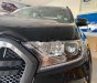 Ford Ranger   Wildtrak  2020 - Bán xe Ford Ranger Wildtrak năm 2020, màu đen, nhập khẩu nguyên chiếc