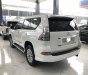 Lexus GX460 2015 - Bán xe Lexus GX460 2015, màu trắng xuất Mỹ biển đẹp