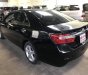 Toyota Camry 2013 - Bán Toyota Camry năm sản xuất 2013, màu đen