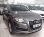 Audi Q7 2010 - Bán Audi Q7 năm sản xuất 2010, xe nhập