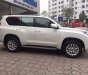 Toyota Land Cruiser 2010 - Xe Toyota Land Cruiser sản xuất 2010, xe nhập, giá tốt