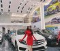 Mercedes-Benz GLA-Class   2016 - Cần bán gấp Mercedes GLA 250 đời 2016, màu trắng, nhập khẩu