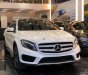 Mercedes-Benz GLA-Class   2016 - Cần bán gấp Mercedes GLA 250 đời 2016, màu trắng, nhập khẩu