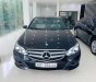 Mercedes-Benz E class 2014 - Bán ô tô Mercedes E class sản xuất 2014