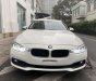 BMW 3 Series   2015 - Bán BMW 320i năm 2015, nhập khẩu