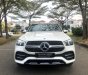 Mercedes-Benz GLE-Class GLE 450 4matic 2019 - Bán Mercedes GLE 450 4matic sản xuất năm 2019, màu trắng, odo 1.500km