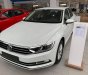 Volkswagen Passat Bluemotion Comfort 2017 - Cần bán Volkswagen Passat Bluemotion Comfort 2017, màu trắng