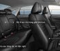 Volkswagen Passat Bluemotion Comfort 2017 - Cần bán Volkswagen Passat Bluemotion Comfort 2017, màu trắng