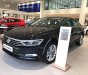 Volkswagen Passat Bluemotion Comfort 2017 - Cần bán xe Volkswagen Passat Bluemotion Comfort 2017, màu đen