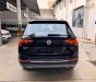 Volkswagen Tiguan Hightline 2018 - Volkswagen Tiguan Topline nhập khẩu, màu đen tặng quà khủng