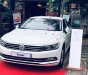 Volkswagen Passat 2017 - Volkswagen Passat Pluemotion trái tim màu xanh, tinh hoa công nghệ  của ngành ô tô Đức - Xe nhập khẩu giá ưu đãi