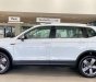 Volkswagen Tiguan 2019 - Volkswagen Tiguan Luxury giảm ngay 50% lệ phí trước bạ!!