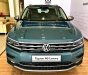 Volkswagen Tiguan AS Luxury 2019 - Bán xe Volkswagen Tiguan AS Luxury