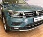 Volkswagen Tiguan AS Luxury 2019 - Bán xe Volkswagen Tiguan AS Luxury