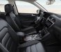 Volkswagen Tiguan Luxury Topline 2019 - Volkswagen Tiguan AS Luxury Topline