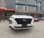 Hyundai Santa Fe    2020 - Bán xe Hyundai Santa Fe đời 2020, màu trắng