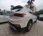 Hyundai Santa Fe    2020 - Bán xe Hyundai Santa Fe đời 2020, màu trắng