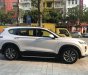 Hyundai Santa Fe    2020 - Bán xe Hyundai Santa Fe đời 2020, màu trắng