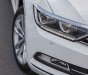 Volkswagen Passat 2018 - Volkswagen Passat Bluemotion trắng ưu đãi giảm ngay 100% lệ phí trước bạ!!