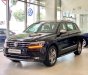 Volkswagen Tiguan Top Line 2019 - Cần bán Volkswagen Tiguan Top Line sản xuất 2019, màu đen, nhập khẩu