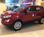 Ford EcoSport 1.5L MT Ambiente 2020 - Ford EcoSport 2020 giá chỉ từ 500 triệu