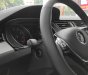 Volkswagen Passat comfort 2017 - Cần bán xe Volkswagen Passat comfort đời 2017, màu đen, nhập khẩu