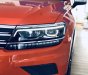 Volkswagen Tiguan luxury  2019 - Volkswagen Tiguan Luxury - Đẳng cấp và tiện nghi - Sang trọng và công nghệ- ưu đãi lên đến 200 triệu