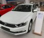 Volkswagen Passat     2018 - Bán ô tô Volkswagen Passat 2018, nhập khẩu chính hãng