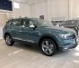 Volkswagen Tiguan Topline 2019 - SUV Tiguan Topline 2020 tặng bảo hiểm thân vỏ, lên đến 50 triệu đến 30/7/2020