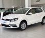 Volkswagen Polo 1.6 2019 - Volkswagen Polo 2020 nhập khẩu nguyên chiếc. 695Tr - 0936655291