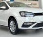 Volkswagen Polo 1.6 2019 - Volkswagen Polo 2020 nhập khẩu nguyên chiếc. 695Tr - 0936655291