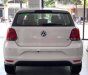 Volkswagen Polo 1.6 2019 - Volkswagen Polo 2020 nhập khẩu nguyên chiếc. 695Tr - 0936655291